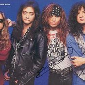 White Lion - List pictures