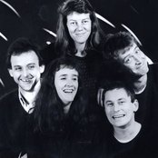 Able Tasmans - List pictures