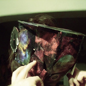 Sea Of Bees - List pictures