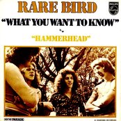 Rare Bird - List pictures