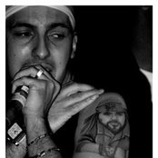 Termanology - List pictures