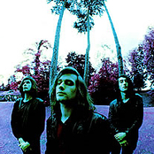 Loop - List pictures