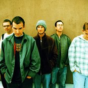 Pedro The Lion - List pictures