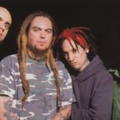 Soulfly - List pictures