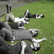 Envy On The Coast - List pictures