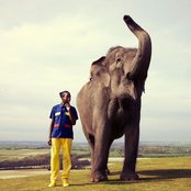 Jammer - List pictures