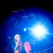 The Knockouts - List pictures