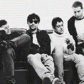 Lightning Seeds - List pictures