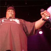 King Gordy - List pictures