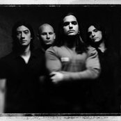 Seven Wiser - List pictures