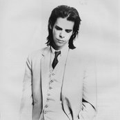 Nick Cave - List pictures
