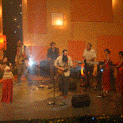 Dengue Fever - List pictures