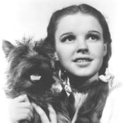Judy Garland - List pictures
