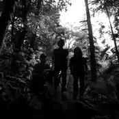 Wolves In The Throne Room - List pictures