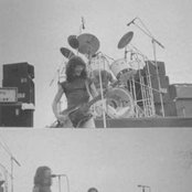 Budgie - List pictures