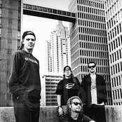 Offspring - List pictures