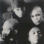 Onyx - List pictures