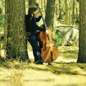 Casey Abrams - List pictures