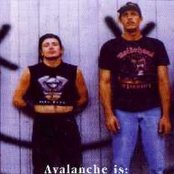 Avalanche - List pictures
