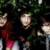 The Young Knives - List pictures