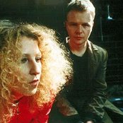 Olive - List pictures