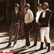 Seeds - List pictures