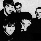 Mccarthy - List pictures