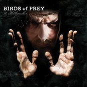 Birds Of Prey - List pictures