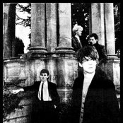 And Also The Trees - List pictures