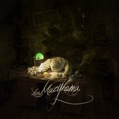 Skor - List pictures