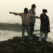 Is Tropical - List pictures