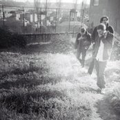 Radio Dept - List pictures