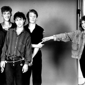 The Woodentops - List pictures