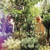 Puro Instinct - List pictures