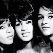 The Ronettes - List pictures