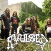 Avulsed - List pictures