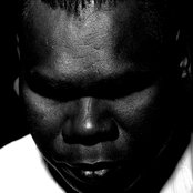Geoffrey Gurrumul Yunupingu - List pictures