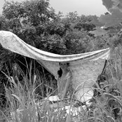 Lia Ices - List pictures