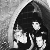 The Garden - List pictures