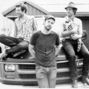 Plants And Animals - List pictures