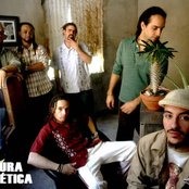 Cultura Profetica - List pictures