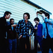 Beasts Of Bourbon - List pictures