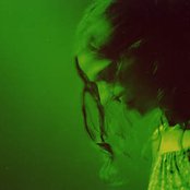 The Cranes - List pictures