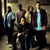 Dave Matthews Band - List pictures