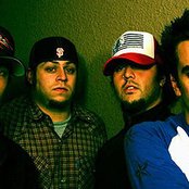 Fingertight - List pictures