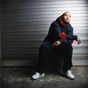 Fallacy - List pictures