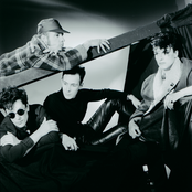 The Blow Monkeys - List pictures