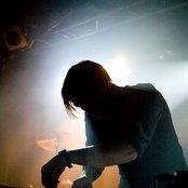 The Field - List pictures