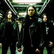 Night In Gales - List pictures