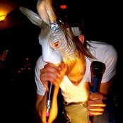 The Bunny The Bear - List pictures